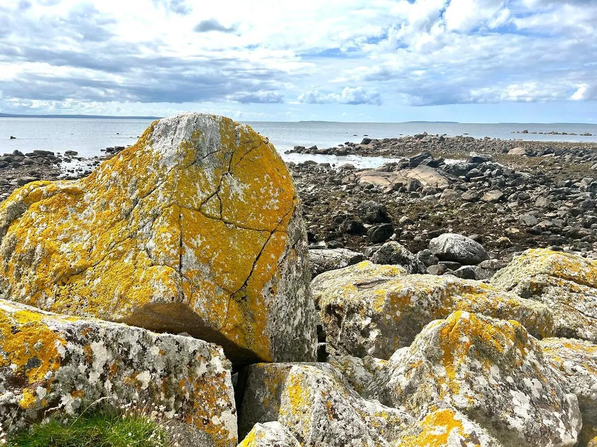 Ocean View House -Connemarra Villa Galway